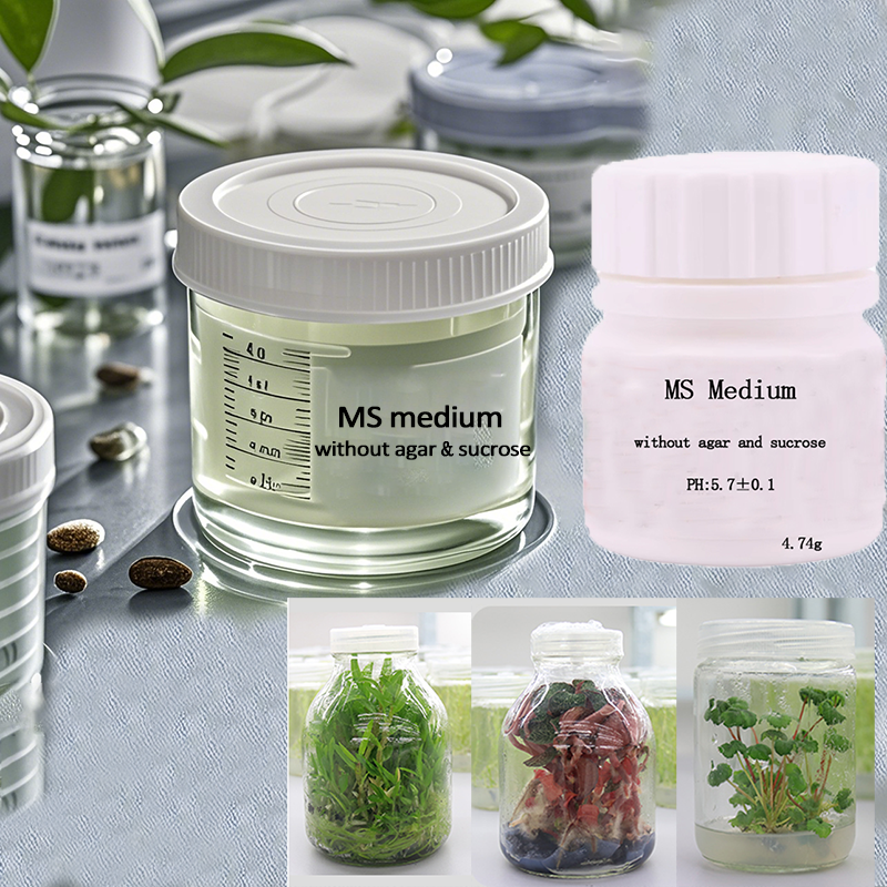MS medium Without Agar Or Sucr - Agar Tissue Culture incelemesi ve fiyatı