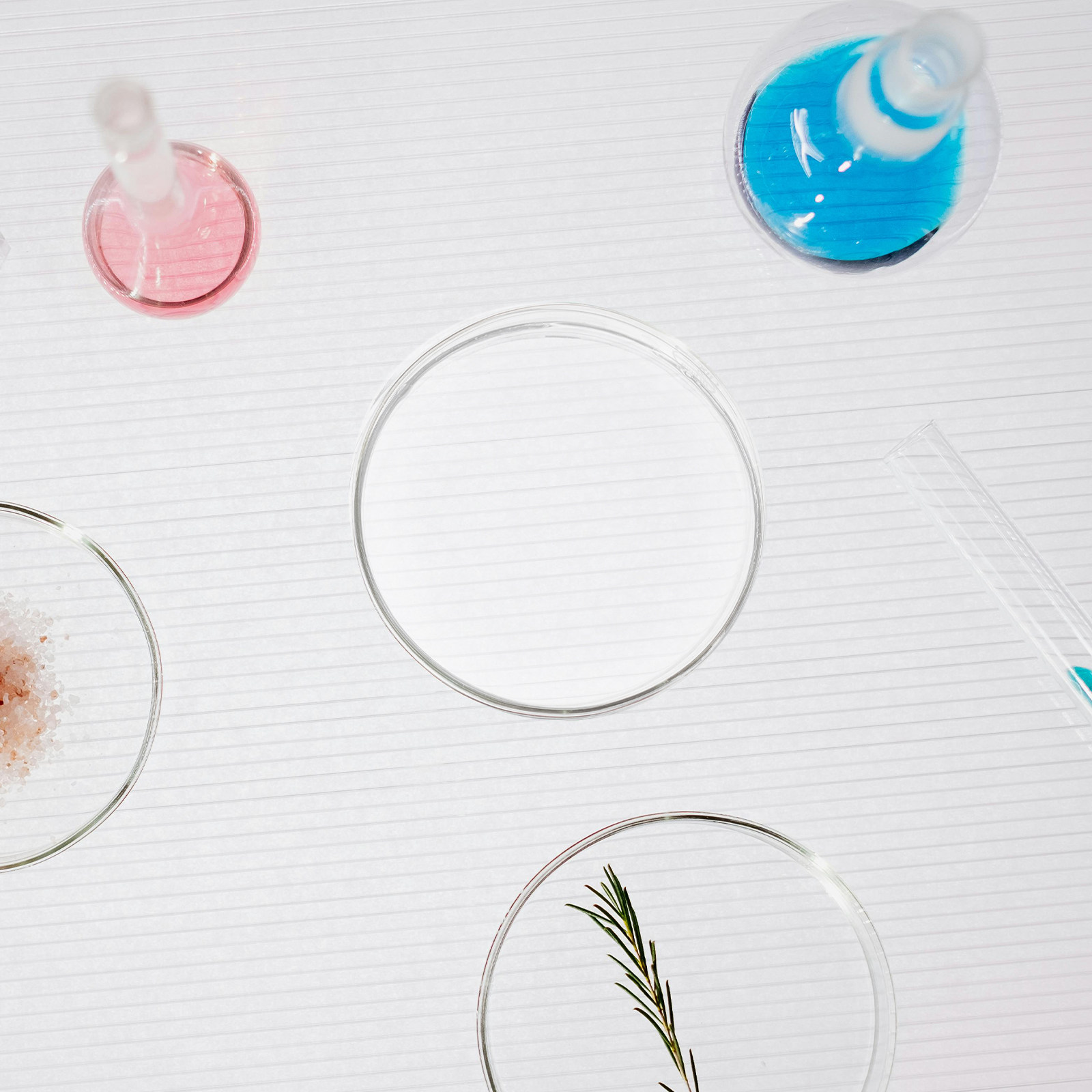 Glass Petri Dish Laboratory Fl - Agar Tissue Culture incelemesi ve fiyatı