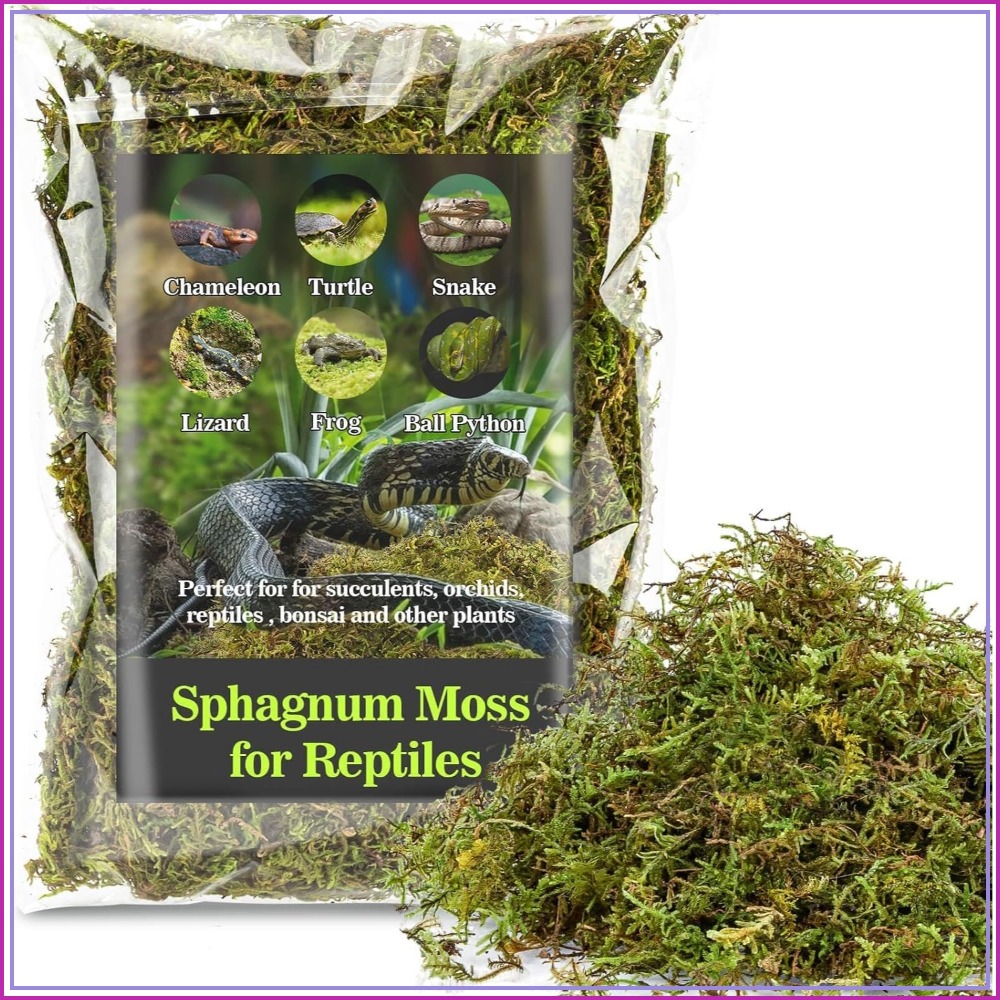 Sphagnum Moss for Reptiles - G - Sphagnum Moss Dry incelemesi ve fiyatı