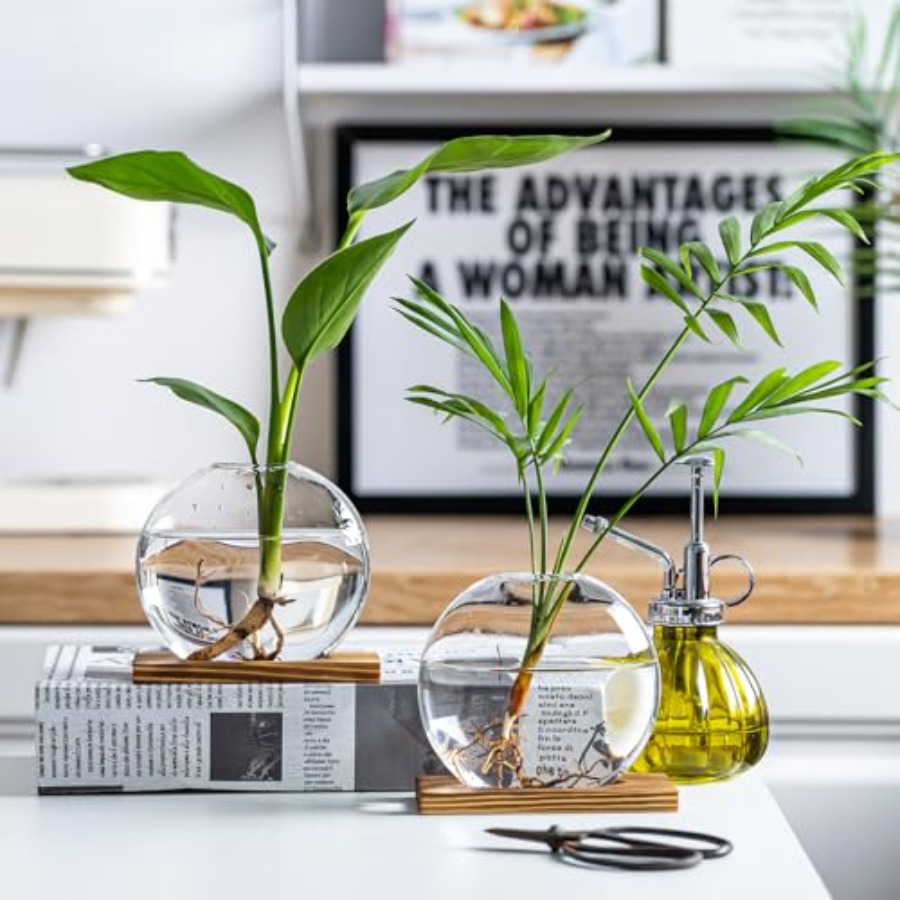 Glass Planter Propagation Stat - Propagation Station Vase incelemesi ve fiyatı