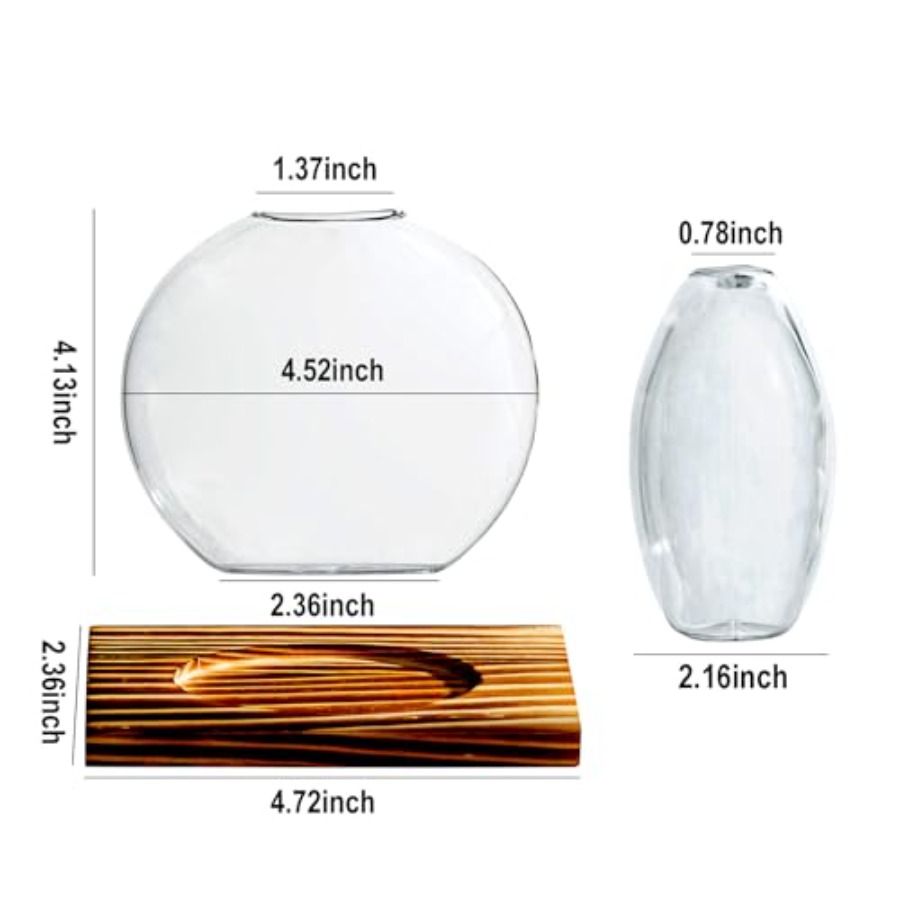 Glass Planter Propagation Stat - Propagation Station Vase incelemesi ve fiyatı