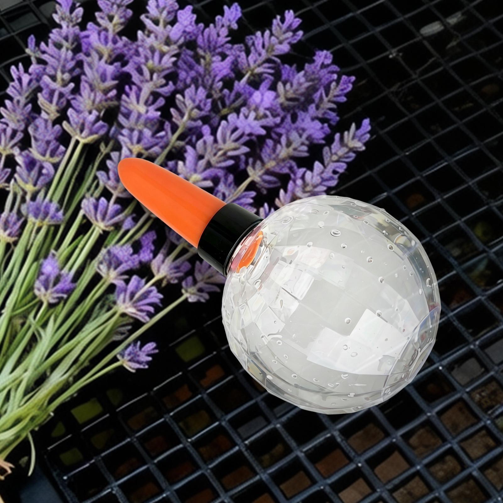Self Watering Planter Insert 5 - Self Watering Insert incelemesi ve fiyatı
