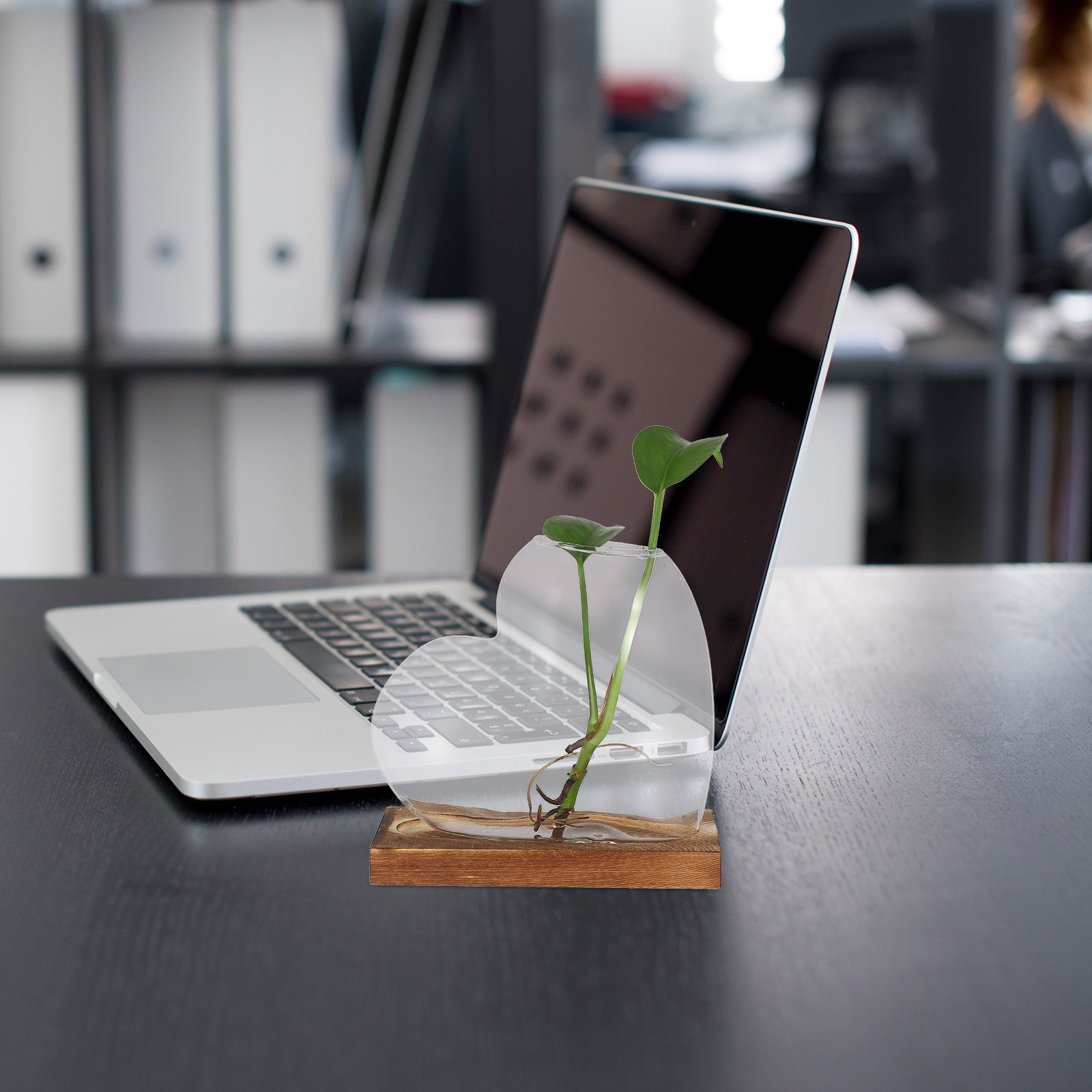 Creative Hydroponic Vase Trans - Propagation Station Vase incelemesi ve fiyatı