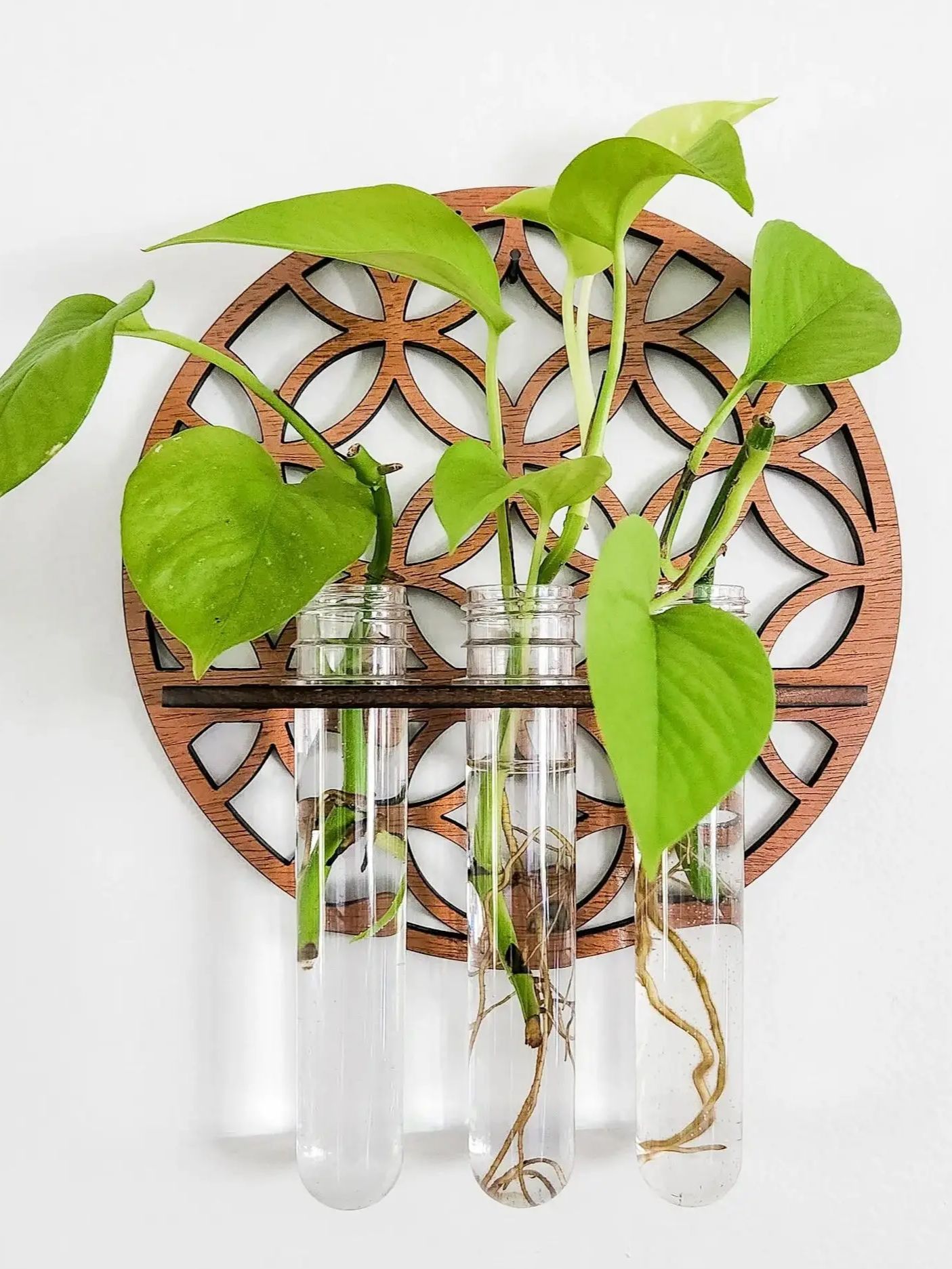 Garden Wall Planters Indoor Wo - Propagation Station Vase incelemesi ve fiyatı
