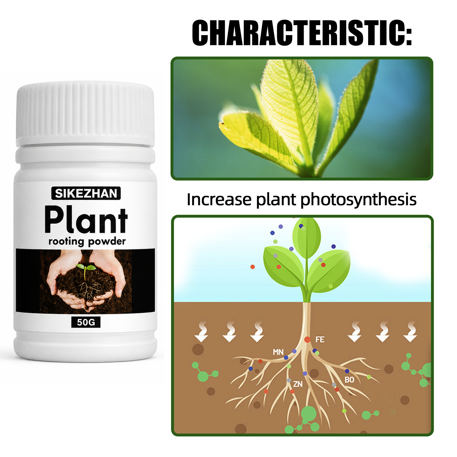 50g Rapid Rooting Powder Plant - Rooting Hormone Powder incelemesi ve fiyatı