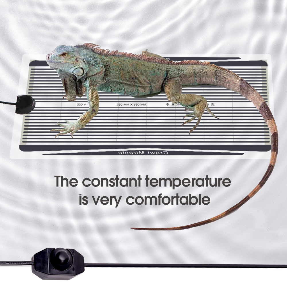 5W-35W Plant Heating Mat Graph - Heat Mat Seedling incelemesi ve fiyatı