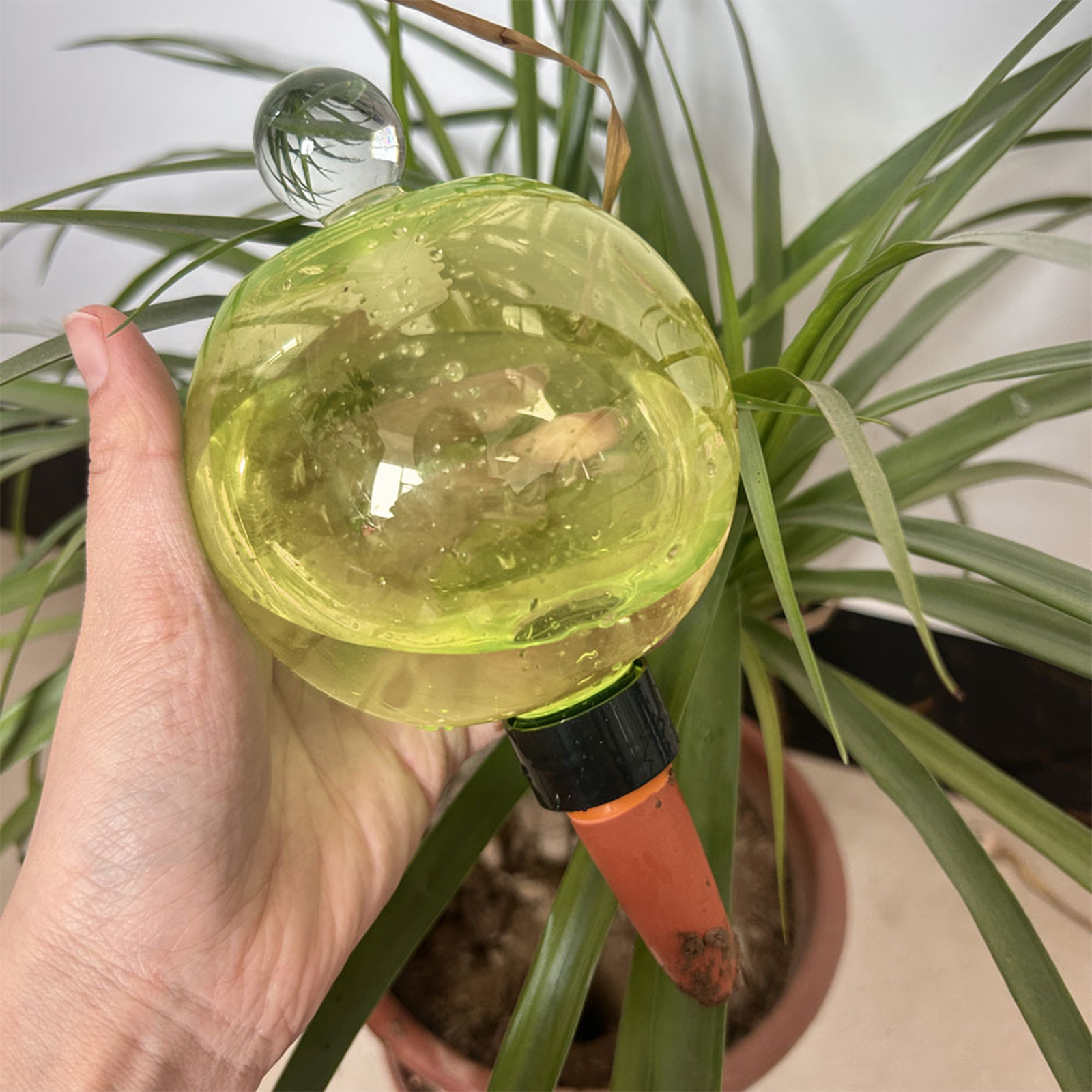 Self Watering Planter Insert T - Self Watering Insert incelemesi ve fiyatı