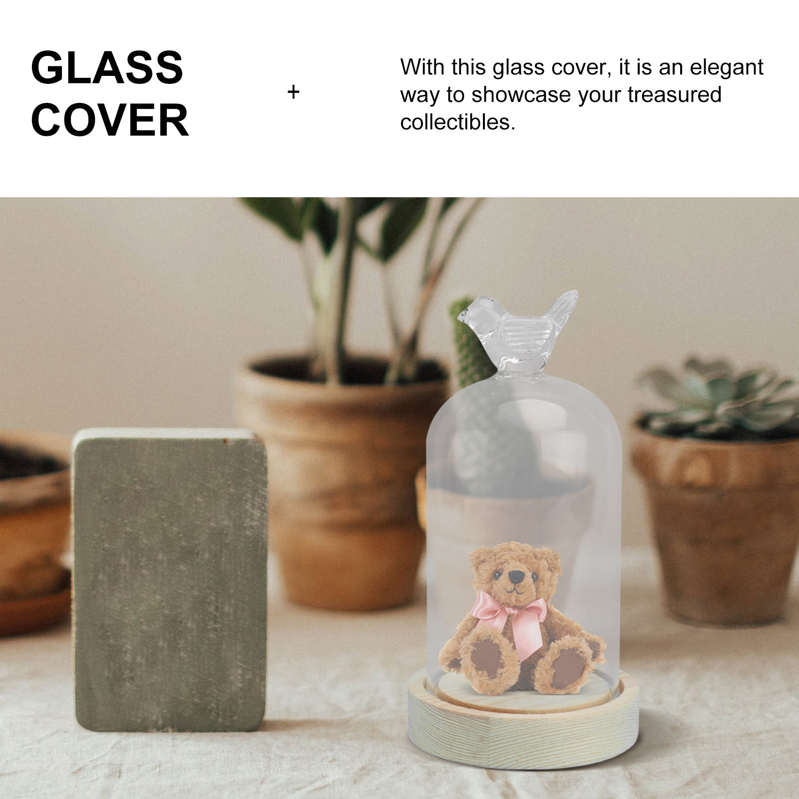 1Pcs Mini Glass Dome Cover Bir - Plastic Dome Clear incelemesi ve fiyatı