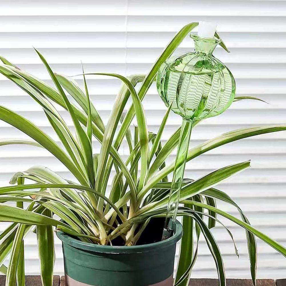 24cm Cactus Self Watering Bulb - Self Watering Insert incelemesi ve fiyatı
