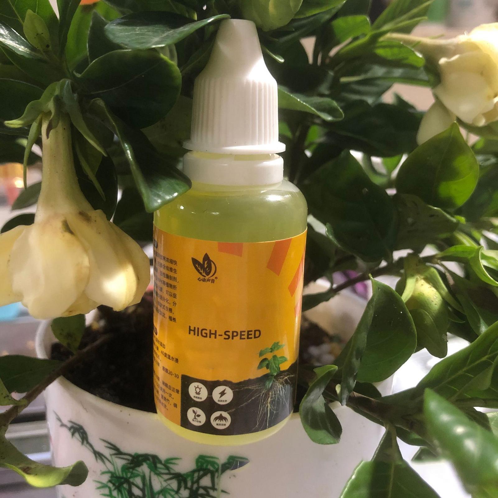 50ml Plant Rooting Stimulator  - Root Stimulator Liquid incelemesi ve fiyatı