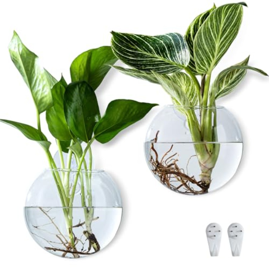 Wall Hanging Planter Propagati - Propagation Station Vase incelemesi ve fiyatı