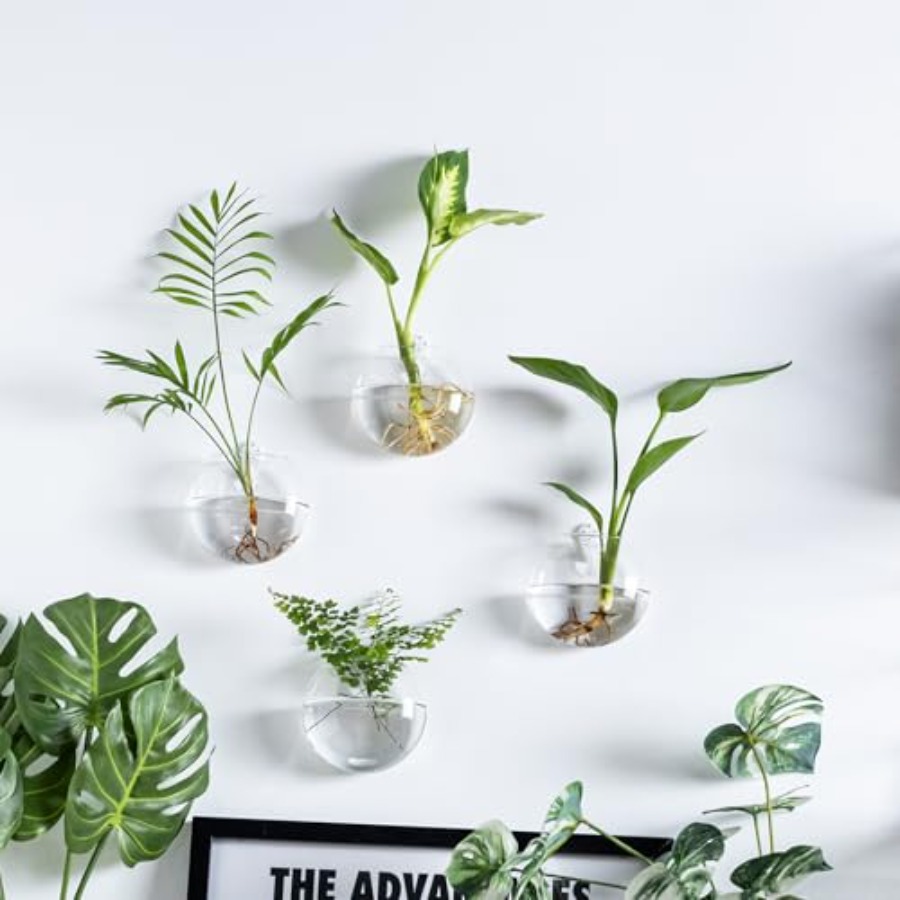 Wall Hanging Planter Propagati - Propagation Station Vase incelemesi ve fiyatı