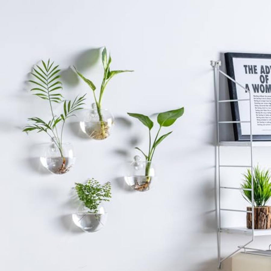 Wall Hanging Planter Propagati - Propagation Station Vase incelemesi ve fiyatı