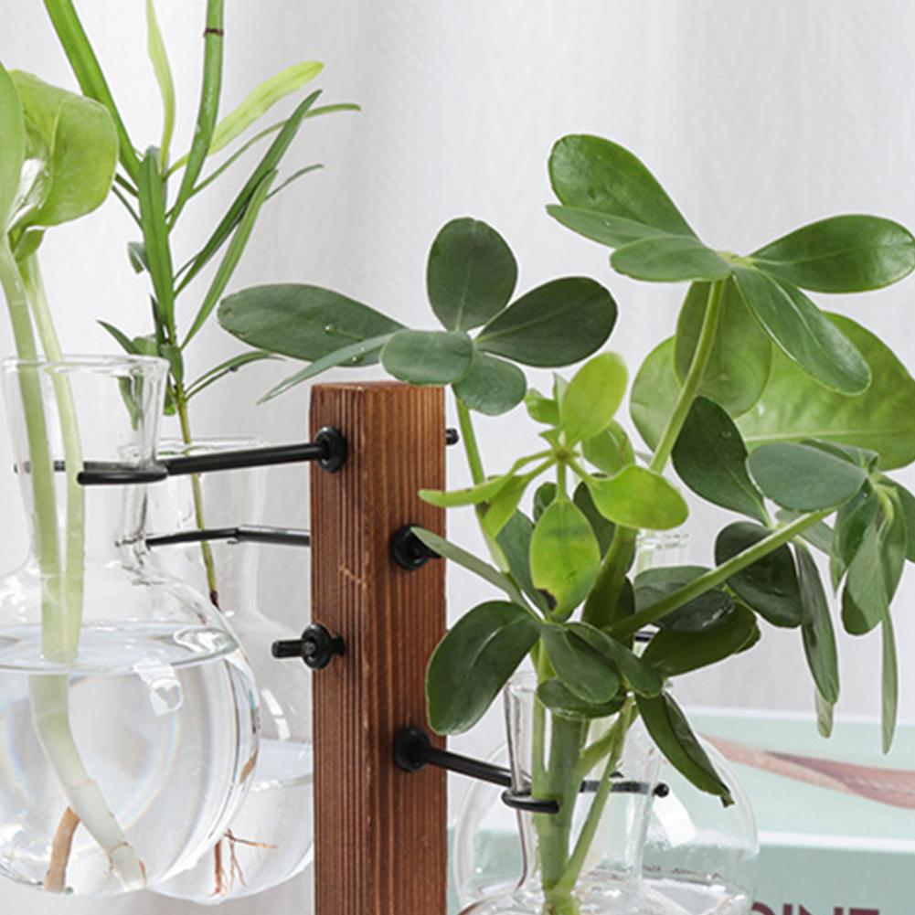 1 Set 10*25cm Plants Propagati - Propagation Station Vase incelemesi ve fiyatı