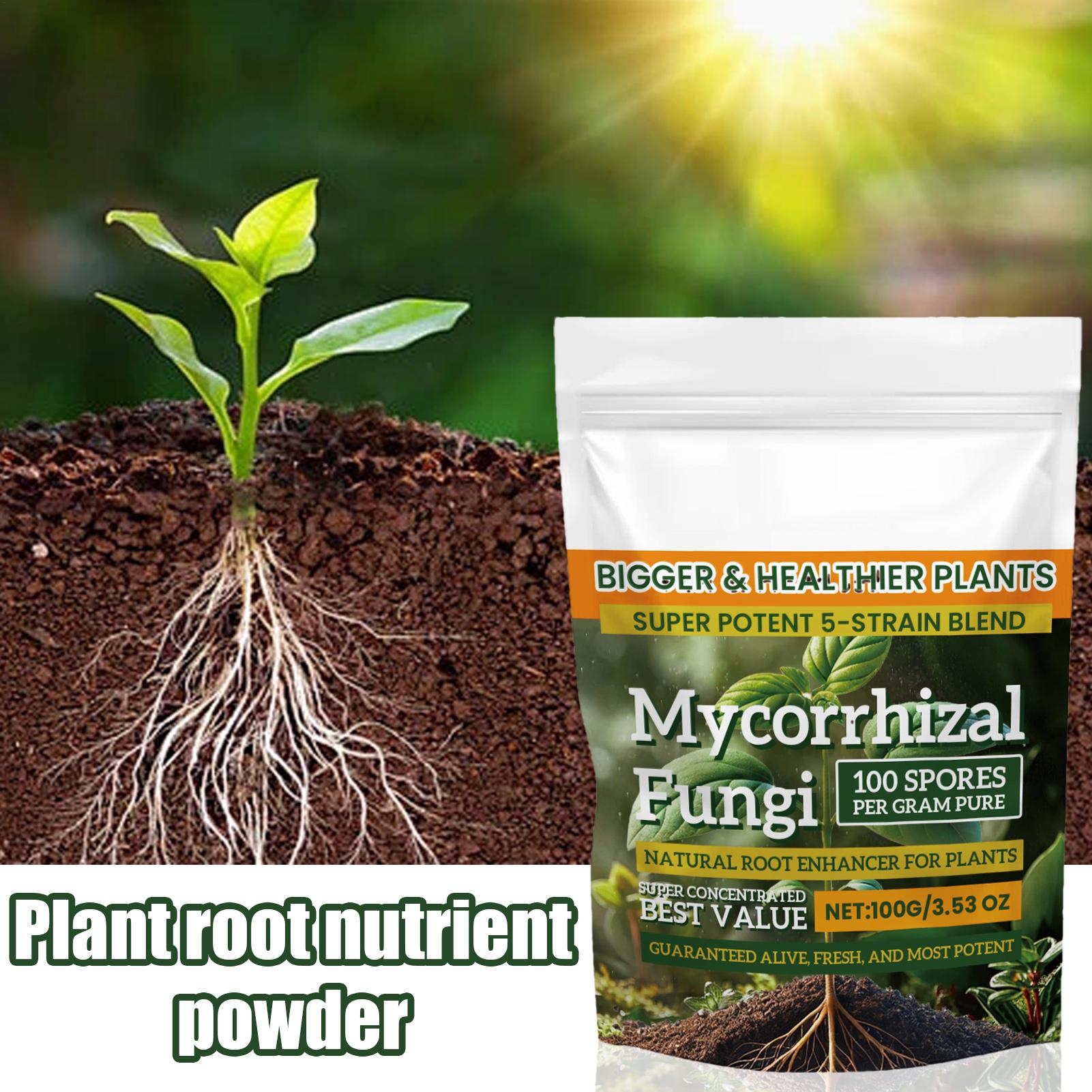 Plant Growth Enhancer Powder 1 - Rooting Hormone Powder incelemesi ve fiyatı