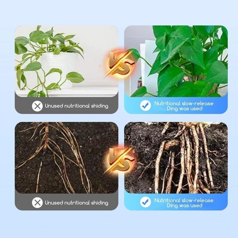 2bags Rooting Hormone Powder U - Rooting Hormone Powder incelemesi ve fiyatı