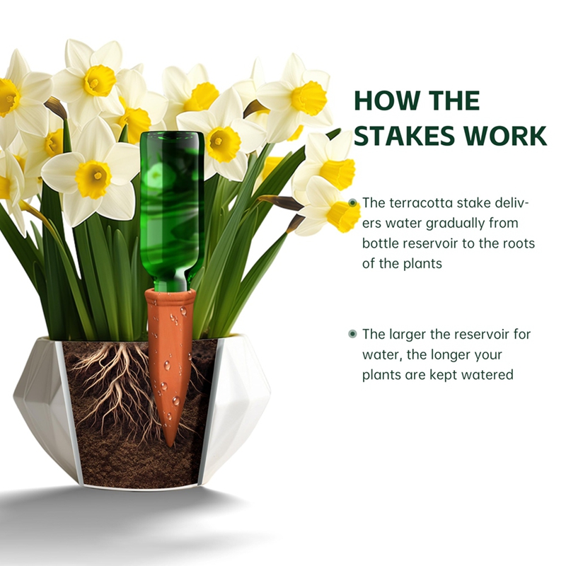 Terracotta Watering Spikes,Win - Self Watering Insert incelemesi ve fiyatı